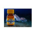 Arôme Keen Carp 30 ml  Pacific Squid