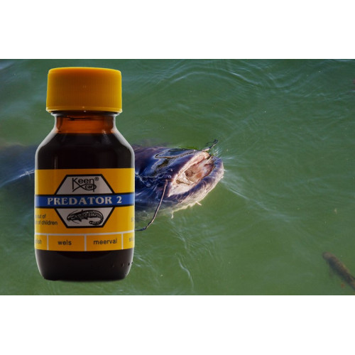 Attractant Keen Carp Predator 2 Catfish 50ml