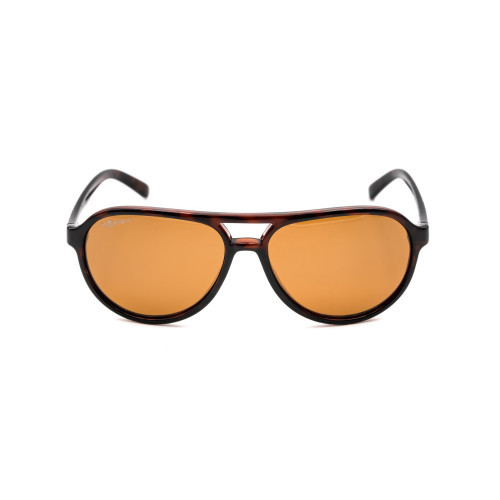 Sunglasses Aviator Tortoise Frame  Brown Lens
