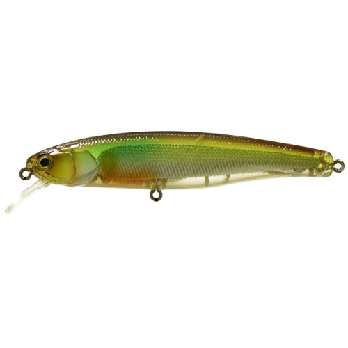 Leurre Flottant Illex Arnaud 100 F 2