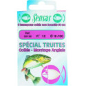 Hameçons Montés Sensas Collés Spécial Truite