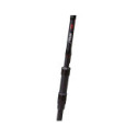 Canne Carpe Orion Concept Axis 10FT  3,0LB  40MM