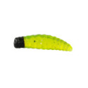 Leurre Souple Kenshi Soft Lure Sexy Larva 2,5cm 15pcs