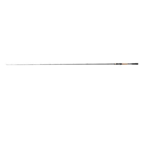 Canne Casting Shimano Expride Casting 2,18m  7'2"  14-42g...