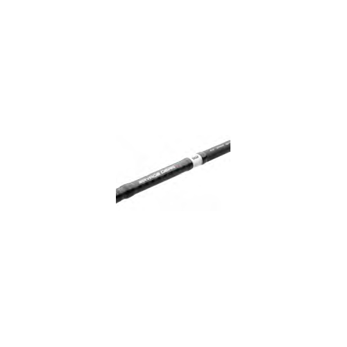 Canne Spinning Savage Gear SG2 Fast Game...