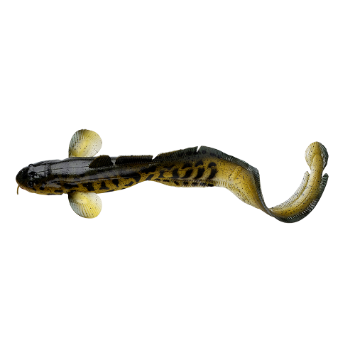 Leurre Souple Armé Savage Gear 3D Burbot 25cm 2