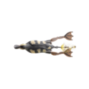 Leurre Souple Savage Gear 3D Hollow Duckling Weedless