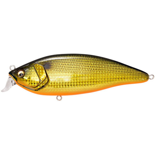 Leurre Flottant Megabass Konosirus Shad (F) 2