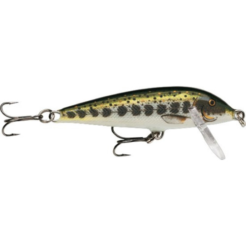 Leurre Coulant Rapala Countdown