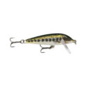 Leurre Coulant Rapala Countdown