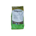 Graine Vadigran Chanvre Monstre 800g