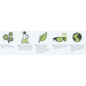 Lunettes Polarisantes Costa Jose Pro Matte Black / Green Mirror 580G