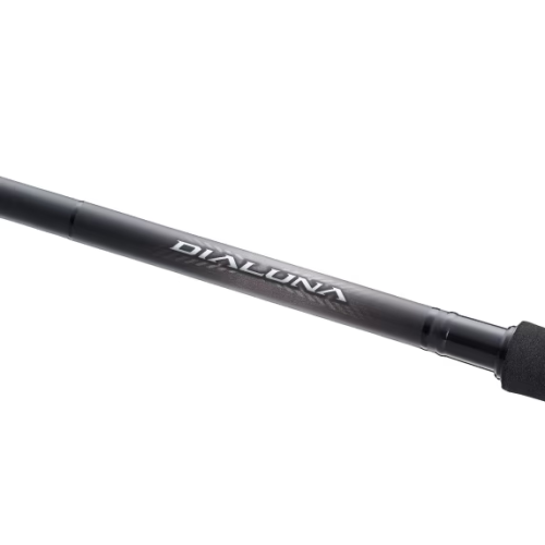 Canne Spinning Shimano Dialuna Spinning Inshore...