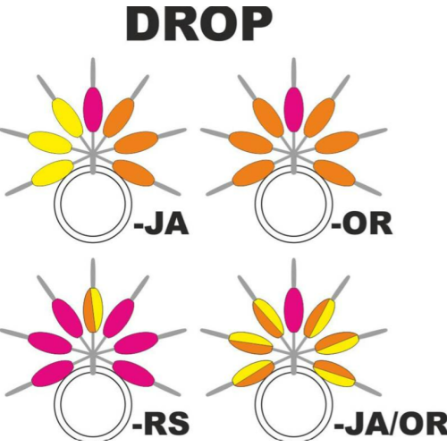 Guide Fil Garbolino Rose Uniforme x6 - T3 -...