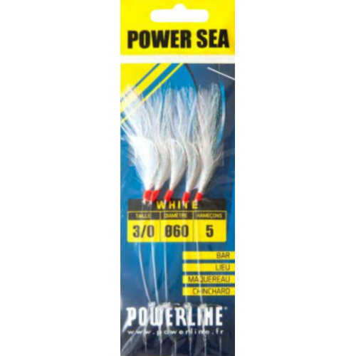 Train De Plumes Powerline Power Sea White (x5)