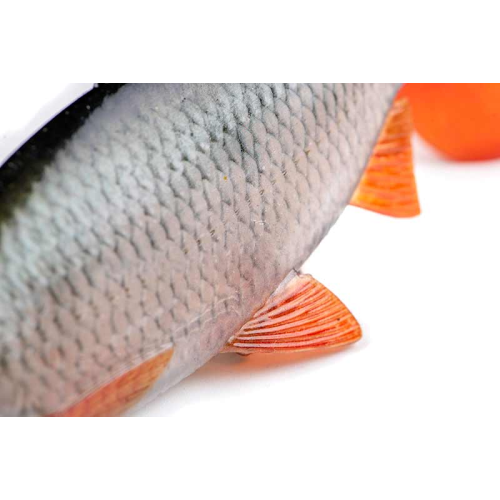 Leurre Souple Armé Fox Rage Ultra-Realistic...