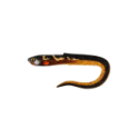 Leurre Souple Fox Rage Slick Eel