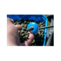 Pellets Sonubaits Marine Green Feed Pellets  900g