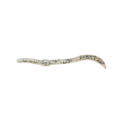 Leurre Souple Spro Twitch Worm