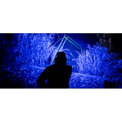 Lampe Frontale Nash Powerbanx UV Lite Head Torch