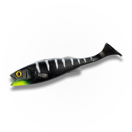 Leurre Souple LMAB Kofi Perch Shad 2