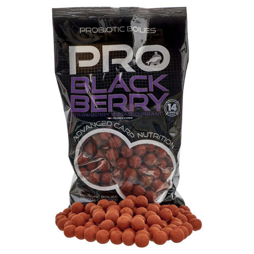 Bouillettes Starbaits Pro Blackberry Boilies  800g