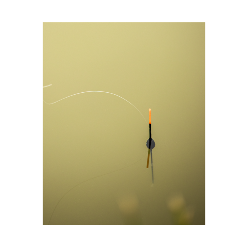 Flotteur Preston Olive Pole Float