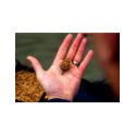 Mainline SK2 Pellet - 1kg