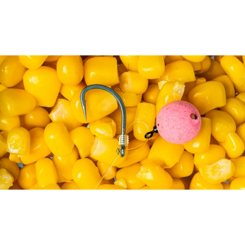 Hameçons Carpe Nash Continental X