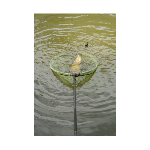 Tête D'Epuisette Korum Power Folding Spoon -...