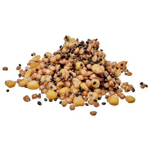 Graines Cuites Starbaits Ready Seeds Spod Mix 3Kg