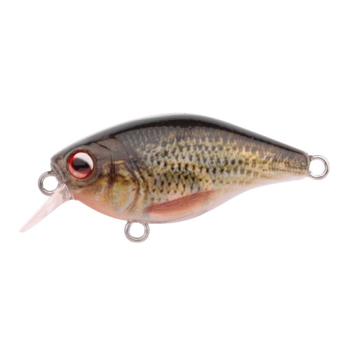 Leurre Spro Ikiru Naturals Min.Crank 38 SL 2