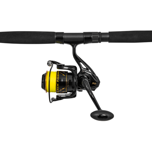 Ensemble Spinning Black Cat Hard Core 2