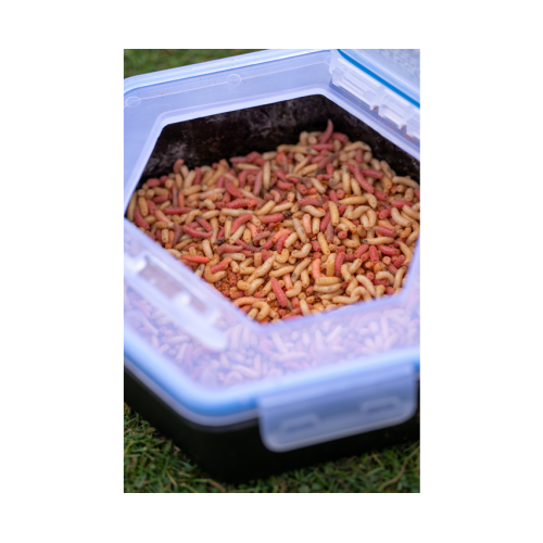 Boite A Appâts Zebco Secure-Lock Bait Box