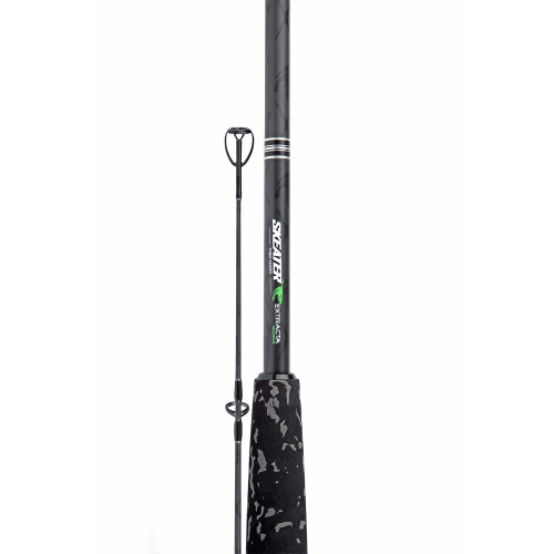 Canne Skeater Extracta Catfish 10' 4.5LB