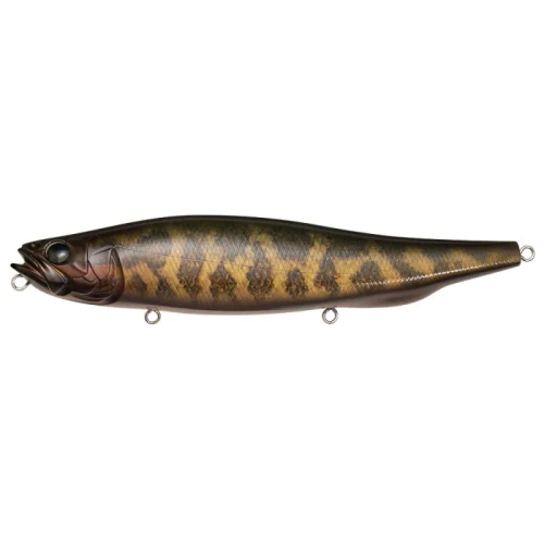 Leurre De Surface Megabass Megadog-X