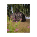 Biwy Fox Frontier II - XL Camo