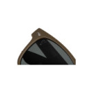 Lunettes Polarisantes Fox Avius Trans Khaki - Green Lens