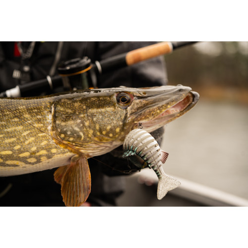 Canne Casting Fox Rage TR Mega Swim 275cm - 9'...