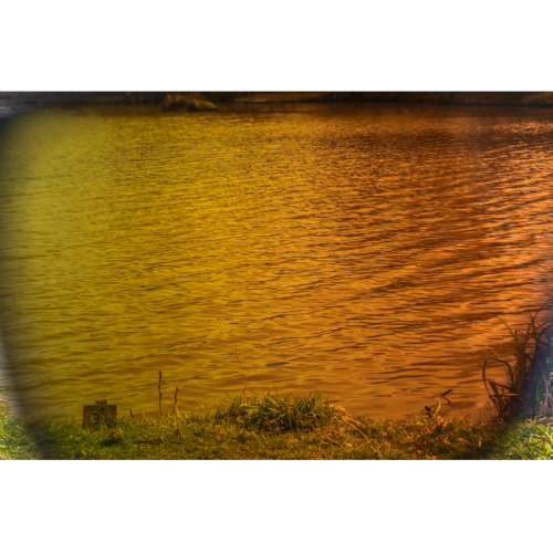 Lunettes Polarisantes Preston Absolute Wrap...