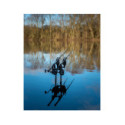 Canne Carpe Fox EOS - X 10ft 3.5lb Full Shrink