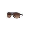 Lunettes Polarisantes Fox Av8  Brown Lense