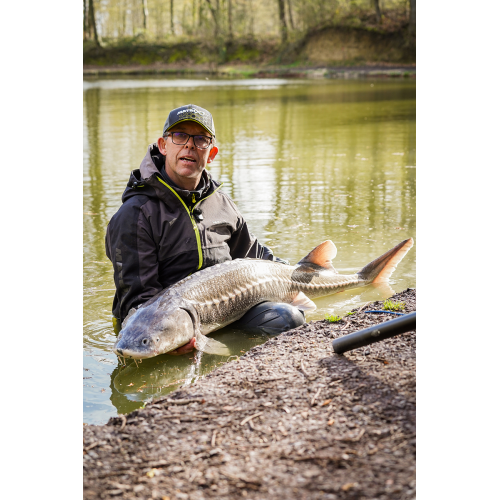 Pack Canne Au Coup Matrix Torque Carp X Power...