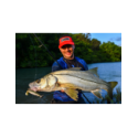 Têtes Plombées VMC Bullet Jig  8/0