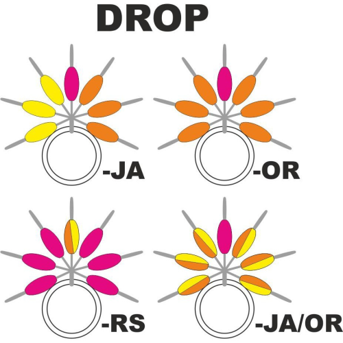 Guide Fil Garbolino Streamline Reperes De Ligne Drop  -...