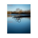 Canne Carpe Fox EOS - X 12ft 3lb Telescopic