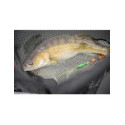 Epuisette Fox Rage Street Fighter 5.5m Carbon Net