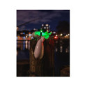 Spomb Light Kit