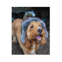Fox Trapper Hat