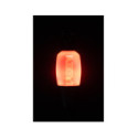 Fox Black Label Dinky Halo Bobbin